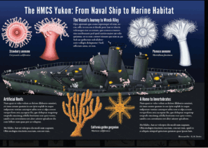 HMCS Yukon: A Case Study in Marine Citizen Science