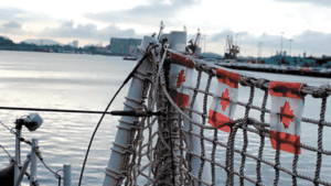 Preserving Naval Reserve Relevance at Sea