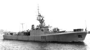 How Sunken Warships Became Thriving Artificial Reefs in Canada