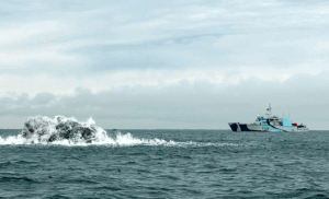 Danish Canadian MCM Operations Conclude